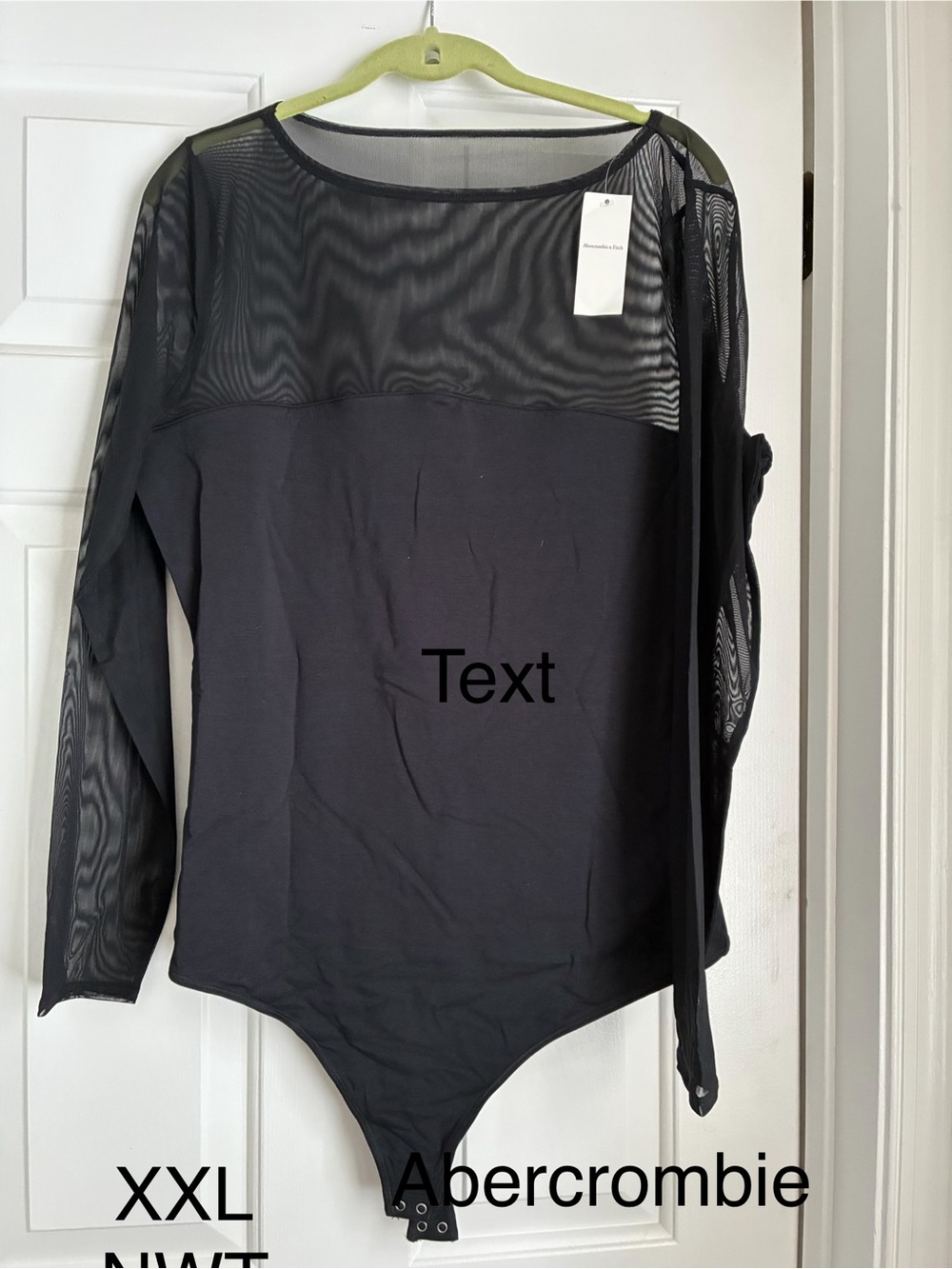 Abercrombie & Fitch Black Sheer-Panel Long Sleeve Bodysuit